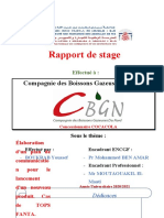 BOUKRAB Youssef Rapport de Stage CBGN