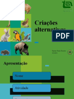 Aula 1 Criações Alternativas