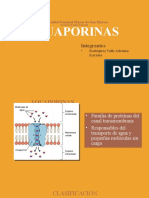 Acuaporinas