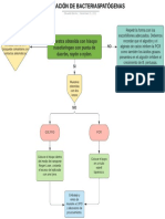 Identificación de Bacterias Patógenas