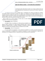 Pathologie Des Betons Armes- Corrosion d