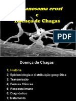 Doenca de Chagas 2021