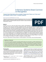 Tabrik, Behroozi, Schlaffke, Heba, Lenz, Lissek_2021_Visual and Tactile Sensory Systems Share Common