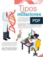 M16 S2 Tipos de Mutaciones PDF