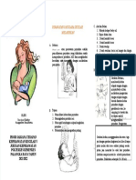 PDF Leaflet Perawatan Payudara