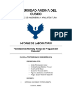 Consistencia Normal y Tiempo de Fraguado Del Cemento