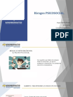 Riesgos Publicos Riesgo Spsicosocial