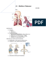 Biofísica Pulmonar: Pressões, Volumes e Capacidades