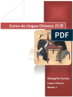 Curso de Língua Chinesa汉语