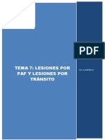 Lesiones por PAF y tránsito: análisis de casos