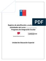 Libro de Registro para La Planificacion y Evaluacion Pie