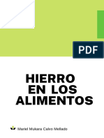 Informe Del Hierro