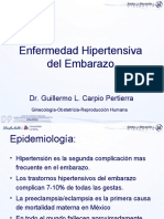 Enfermedad Hipertensiva Del Embarazo - 13feb09