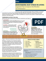 Understanding Heat Stress in Layers:: Management Tips To Improve Hot Weather Flock Performance