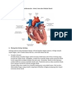 Arteri, Vena, Dan Sirkulasi Darah