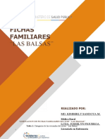 Tabulacion de Fichas Familiares - Sector Balsas