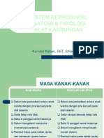 2 Sistem Reproduksi, Anatomi Dan Fisiologi Alat-Alat Kandungan