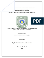 Caracteristicas Fisicas Quimicas de La Region San Martin PDF