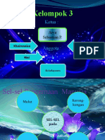 2presentasi sel pencernaan