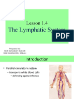 The Lymphatic System: Structure and Functions