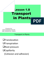 Lesson 1.8: Transport in Plants