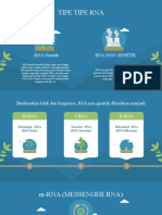 TIPE RNA