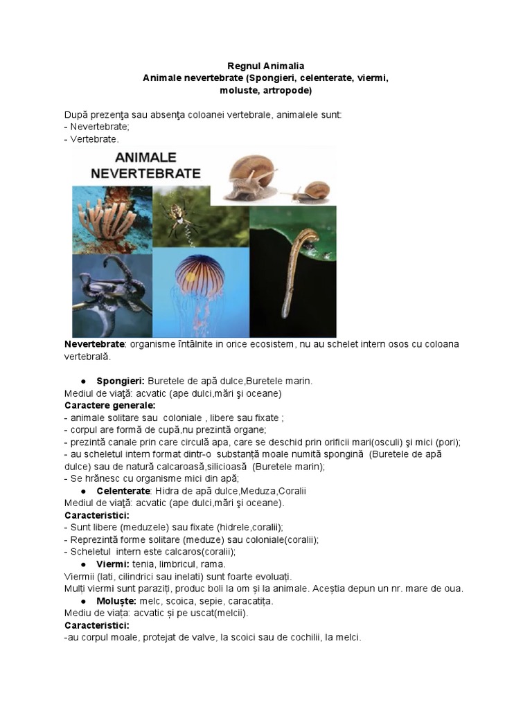 Animale Nevertebrate | PDF