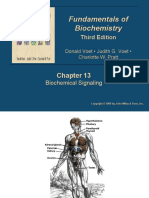 Ch13 Mea Short Biochemistry (Protein and Nucleic Acid)