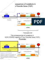 Mutations Molecular Biology