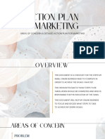 Areas of Concern & Detailed Action Plan For Marketing