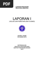 Download Elektroforesis by Norma Rizkiananingrum SN54280206 doc pdf