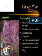 Flower Remedies-Cherry Plum