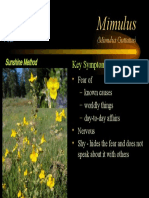Flower Remedies-Mimulus