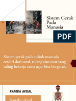 Sistem Gerak 