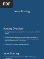 Junos Routing