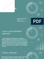 Responsabilidade ambiental: atitudes individuais e empresariais