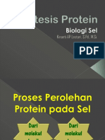 Sintesis Protein TERBARU