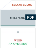 Weed, An Overview - 2021