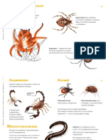 09-Паукообразные и многоножки-Конспект