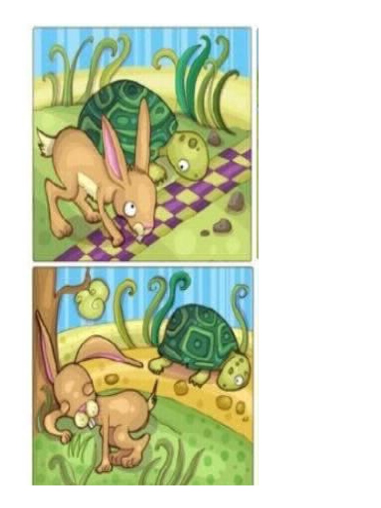 Turtle | PDF