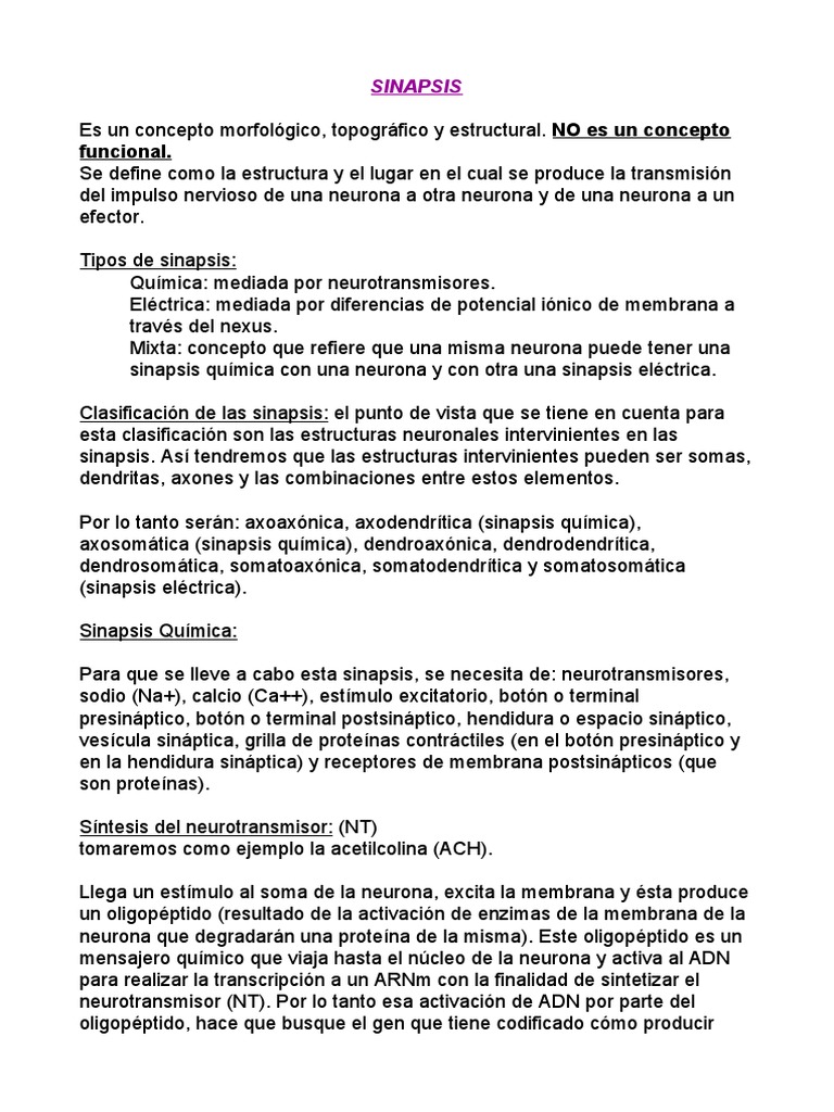 Tipos y Proceso de Sinapsis Neuronal | PDF | Sinapsis | Sinapsis química
