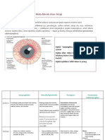Mata Merah Visus Tetap