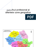 Specificul Profesional Al Diferitelor Zone Geografice