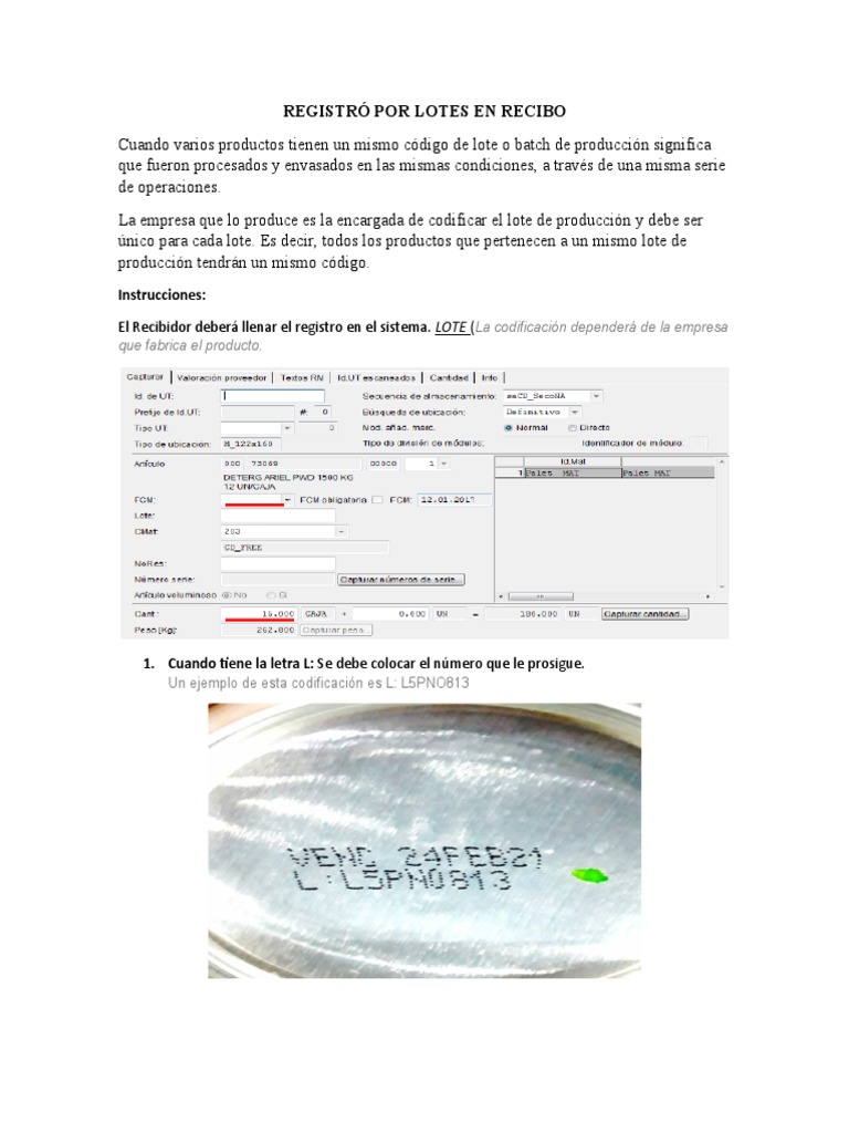 Registro de Lotes en Recibo: Instrucciones | PDF | Finanzas y dinero ...