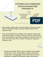 Kelompok 4 Fotobiologi Tumbuhan - Perkecambahan Biji-1