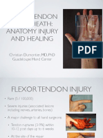 3-9 Anatomy and Healing Flexor Tendons