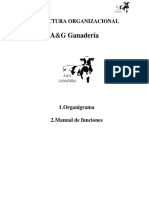 Estructura Organizacional (Organigrama y Manual de Funciones)
