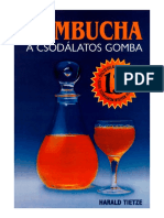 Kombucha A Csodálatos Gomba