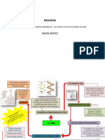 Biologia ARN primera forma vida