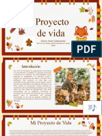 Proyecto de Vida3